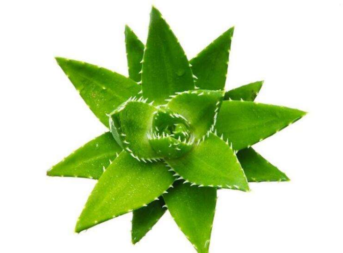 1559717418648069.png image.png